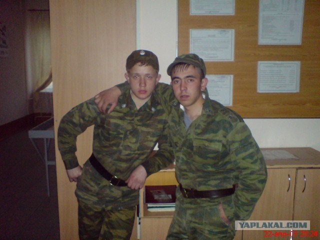 Дикие фото из социальных сетей