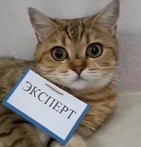 Пережарила