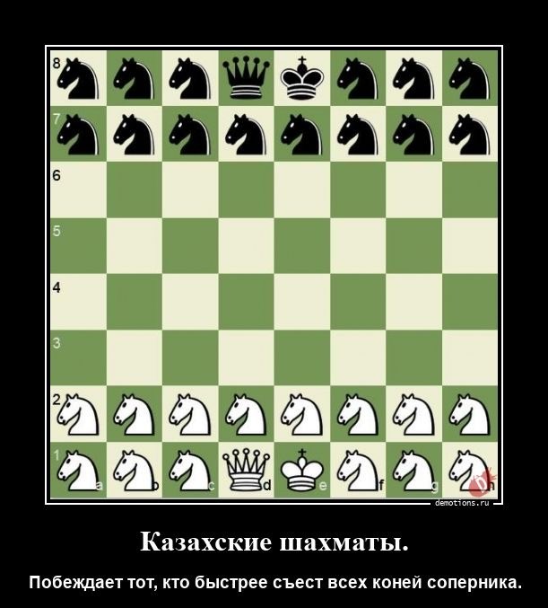 Шахматы⁠