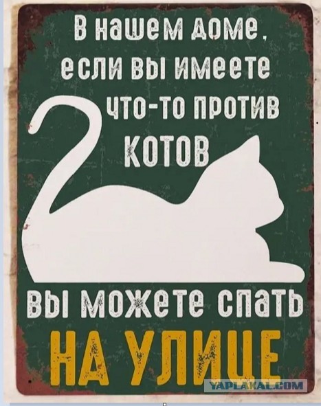 Перевод с женского⁠⁠