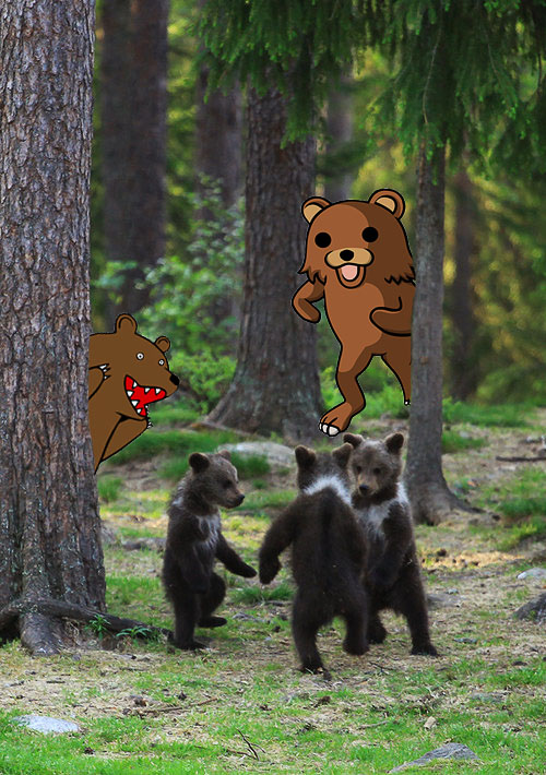 Утренник в лесу