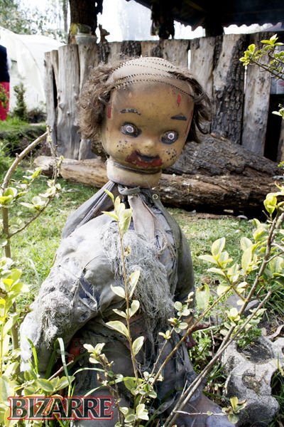 Остров кукол в Мексике (15 фото)
