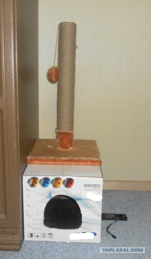 Дом для кошки.