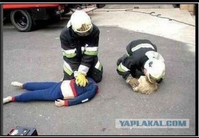 Смешные картинки