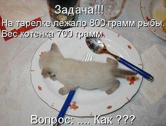 Позитивные картинки и комментарии.