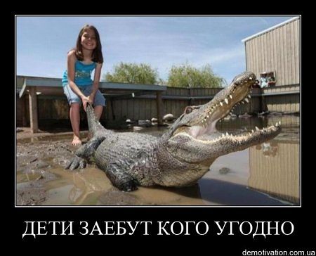 Он смог, он это сделал!