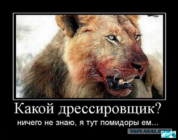 Подборка смешных картинок :)