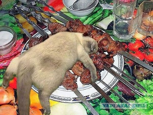 Заснувшие