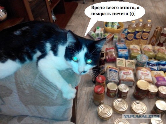 Затарились вечером случайно!