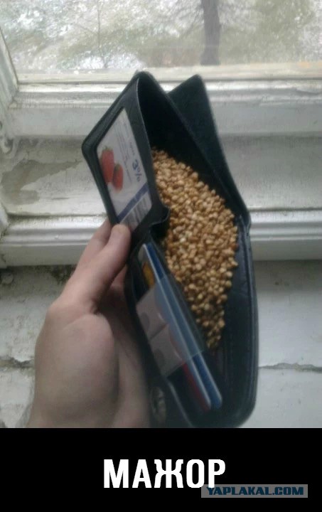 Веселые картинки