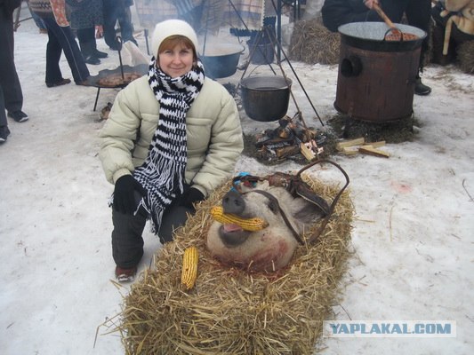 Резники-гентеши демонстрируют свое мастерство