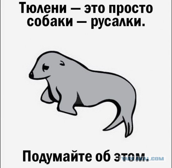 Всякая хренотень