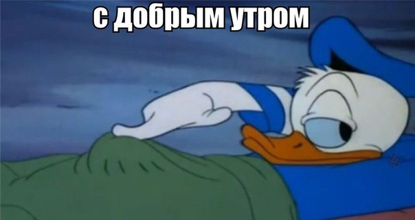 Юмор ниже пояса