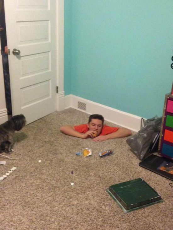 Родители пришли с работы и выпали в шок