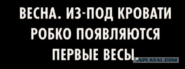 Картинки