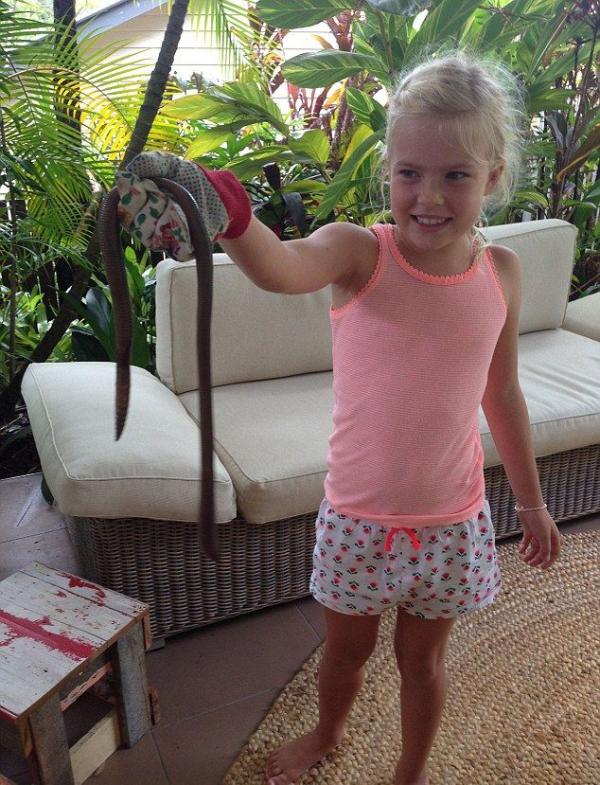 Экзотический животный мир Австралии