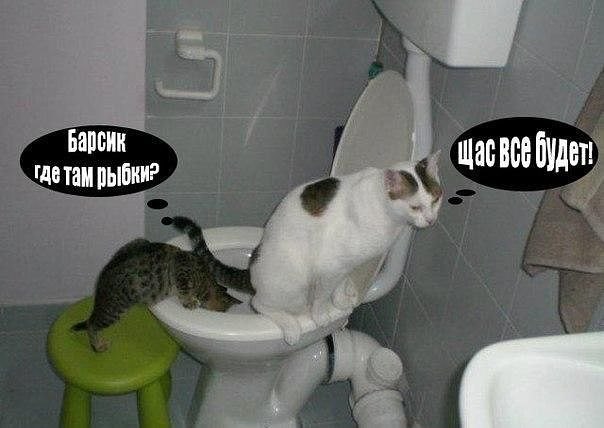 Всякое разное из соцсетей