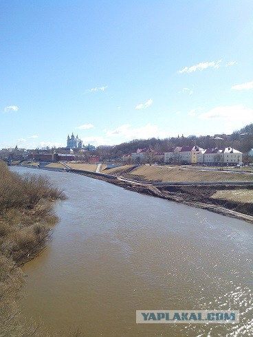 Миграция московского планктона