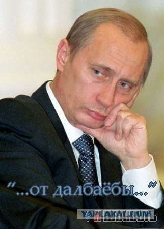 Охуевшие хохлы.