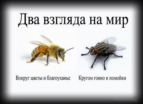 Российских солдат стали кормить лучше