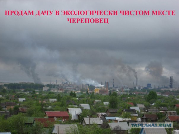 Банка сгущеного молока из СССР