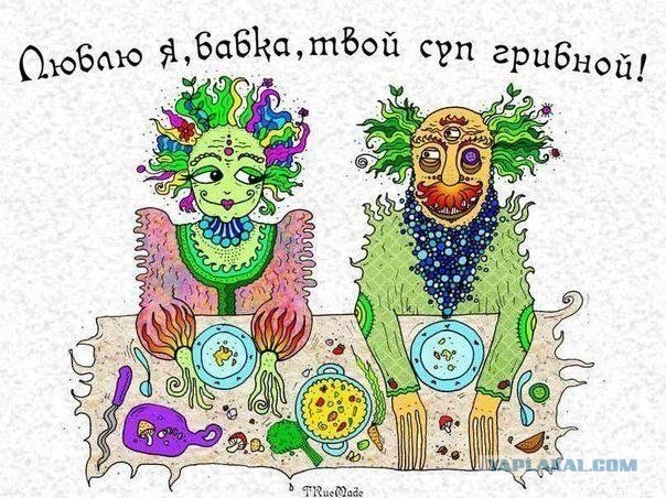 Салат таксидермиста