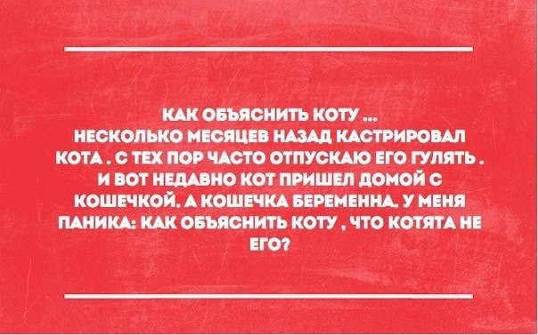Лента анекдотов на среду 16.09.2015