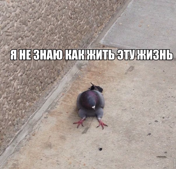 Глава ВТБ заявил о бессмысленности кредитования
