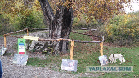 Наталья Варлей на съёмках "Кавказской пленницы"