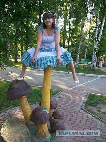 Умом Россию не понять