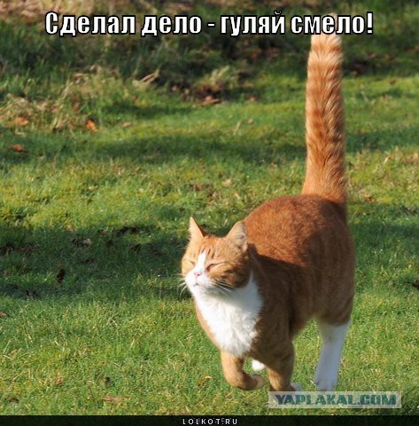 Гвоздь, закрученный отвёрткой, или болт забитый молотком?