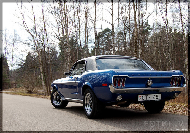 Ford Mustang (3 фото)
