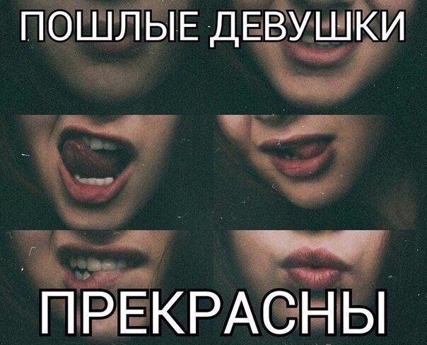 Забавные картинки из сети