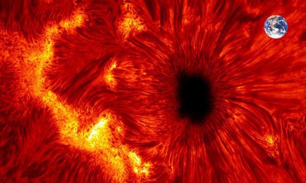 Интересные и веселые картинки