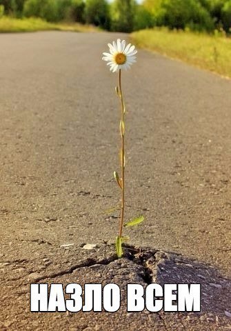 Подборка интересных и веселых фото