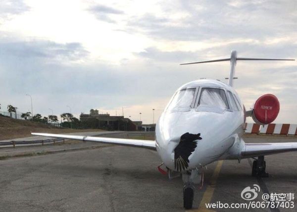 Несколько картинок