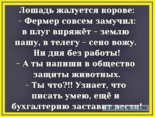 15 комиксов про то, о чем думают животные