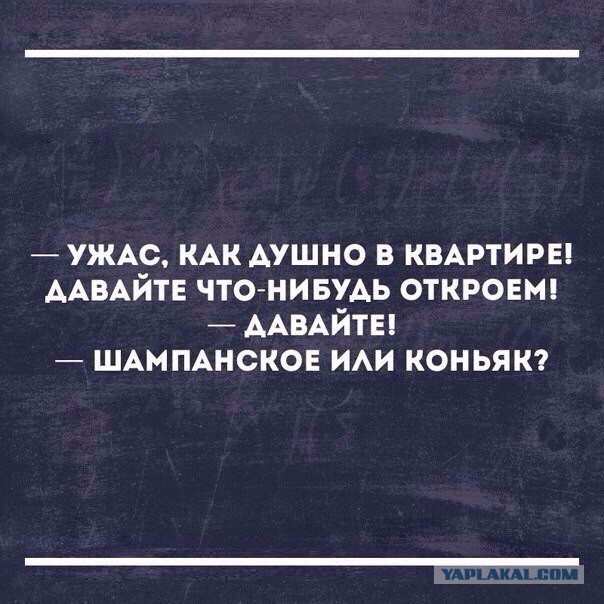 Немного смешных картинок для настроения. 16+