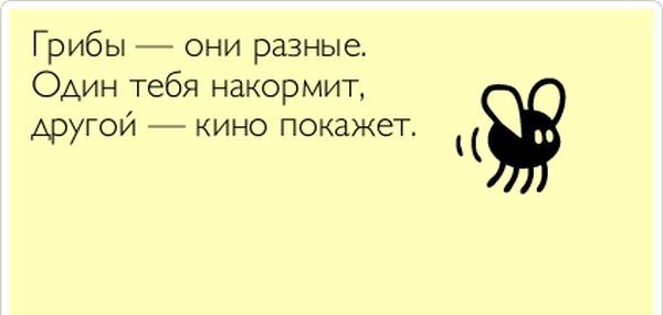 Всячина. Картинки и тексты картинками