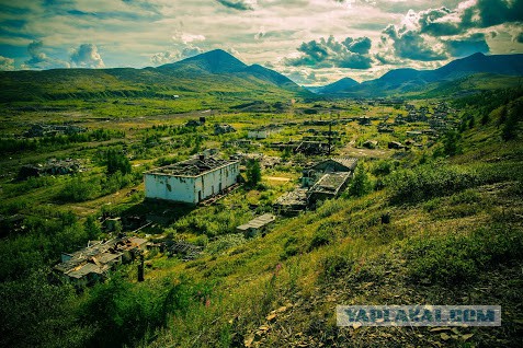 Якутские маслята.