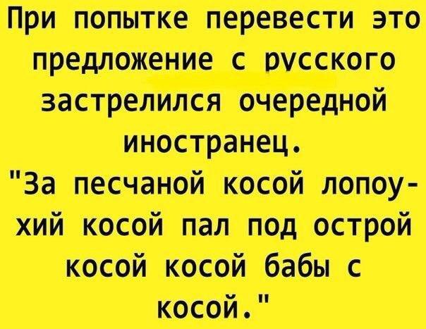 Перлы и высказывания