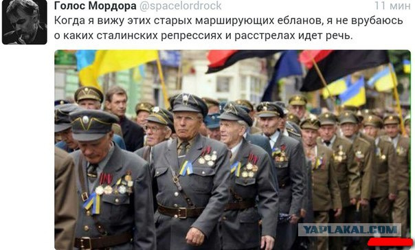 Почему власти СССР в 1955 году освободили из лагерей всех бандеровцев