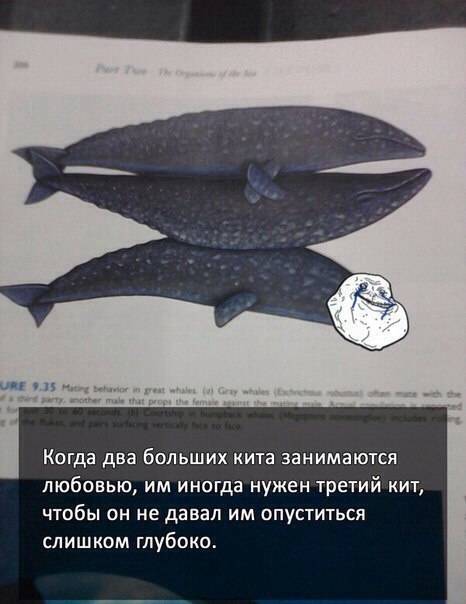 Странности & баяны