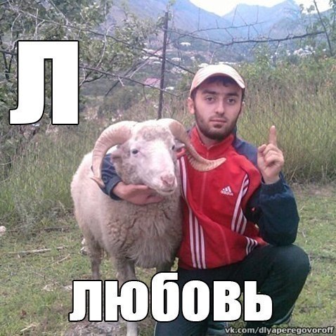 Деграклассники (4)