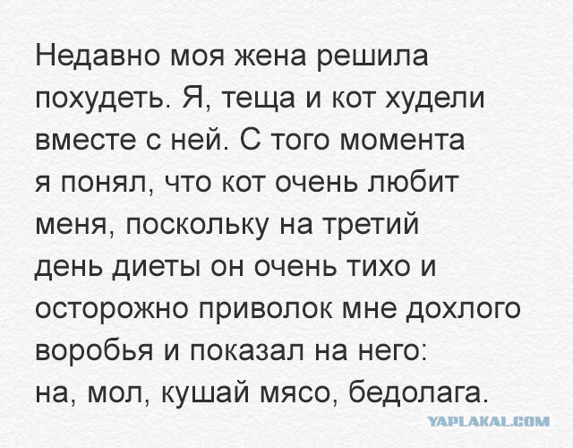 Забавные комментарии, шутки и фразы из этих ваших интернетов