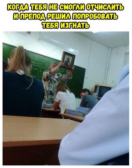 100 картинок для поднятия настроения!