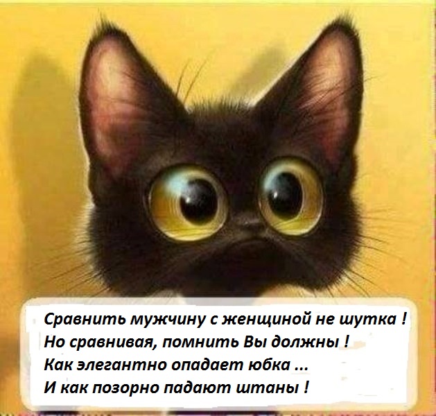 Смешних картинок с просторов
