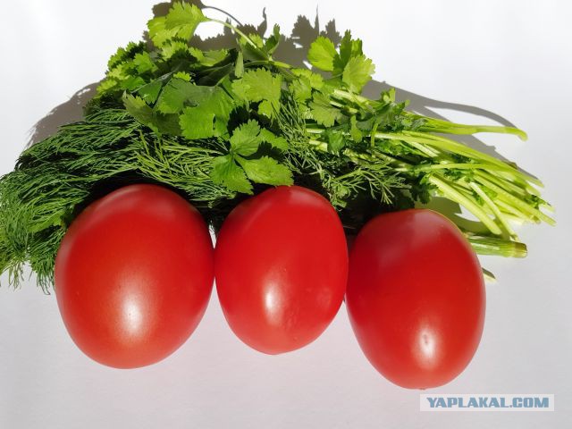 Кулинары поздравляют ЯП с днём рождения!