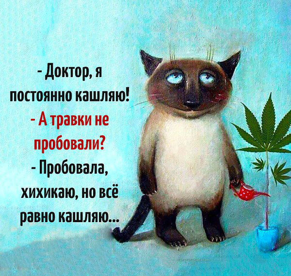 Разное из тырнэта