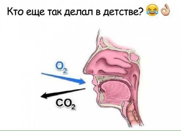 Нестандартный юмор